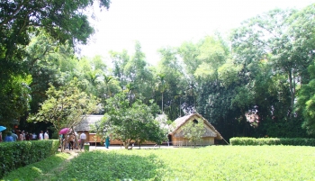 Tết Độc lập trên quê hương Bác
