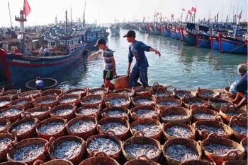 Hệ thống giám sát tàu cá đã được triển khai đồng bộ từ Trung ương đến địa phương